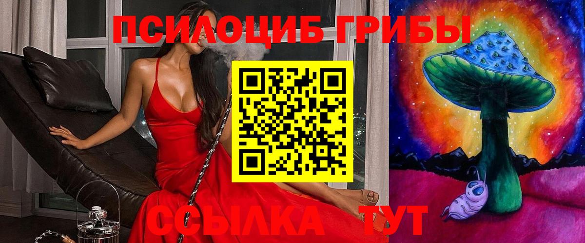 Галлюциногенные грибы Psilocybe  Галлюциногенные грибы прущие грибы  Уфа  Вход с VPN 
