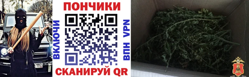 где можно купить   Уфа  Конопля семена 